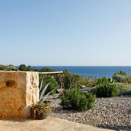 Villa Vito Zarače المظهر الخارجي الصورة
