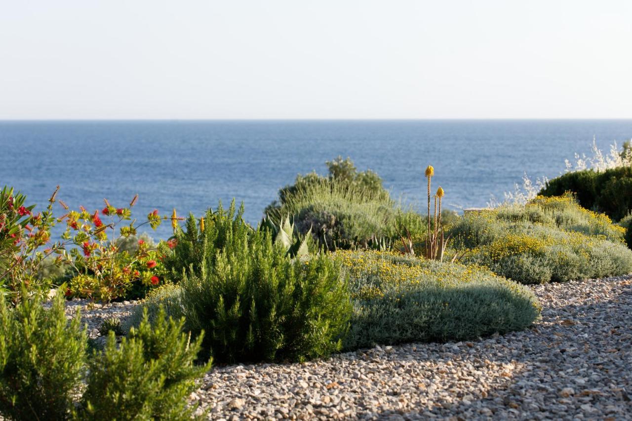 Villa Vito Zarače المظهر الخارجي الصورة
